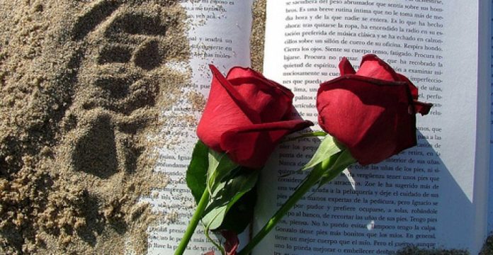 El libro y la rosa