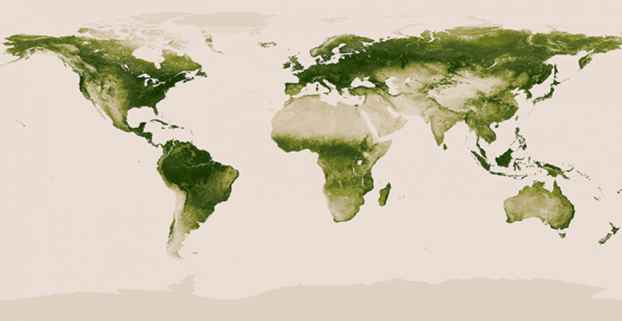 Mapa global de vegetación. 