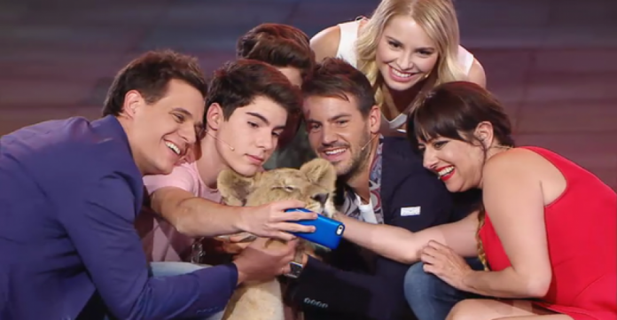 Selfie con Simba, lo último del show business  