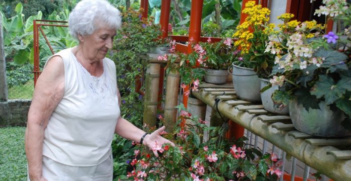 Una abuela observando las flores. 