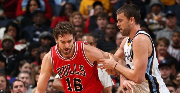 Pau y Marc Gasol