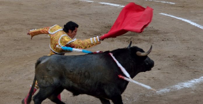 Un toro y un torero, como José Ortega Cano.