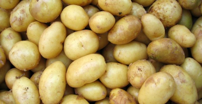 Patatas