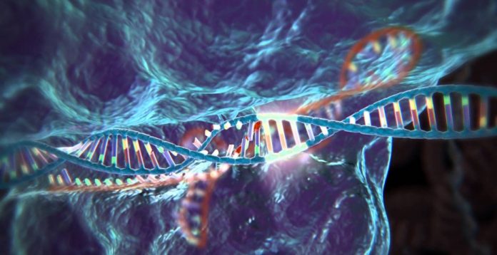 CRISPR y lo que hay que saber