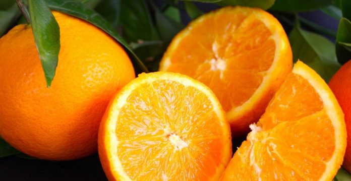 Las naranjas españolas buscan ser más competitivas que las egipcias para no perder el mercado de Países Bajos