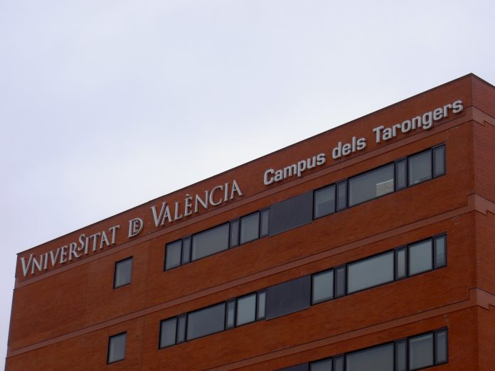 universidad de valencia recién licenciados