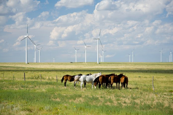 Foto: Iberdrola.com